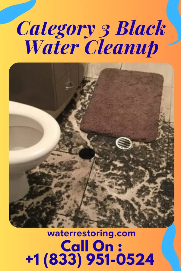 Category 3 Black Water Cleanup in Washburn, IL