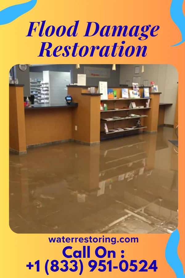 Flood Damage Restoration in Washburn, IL